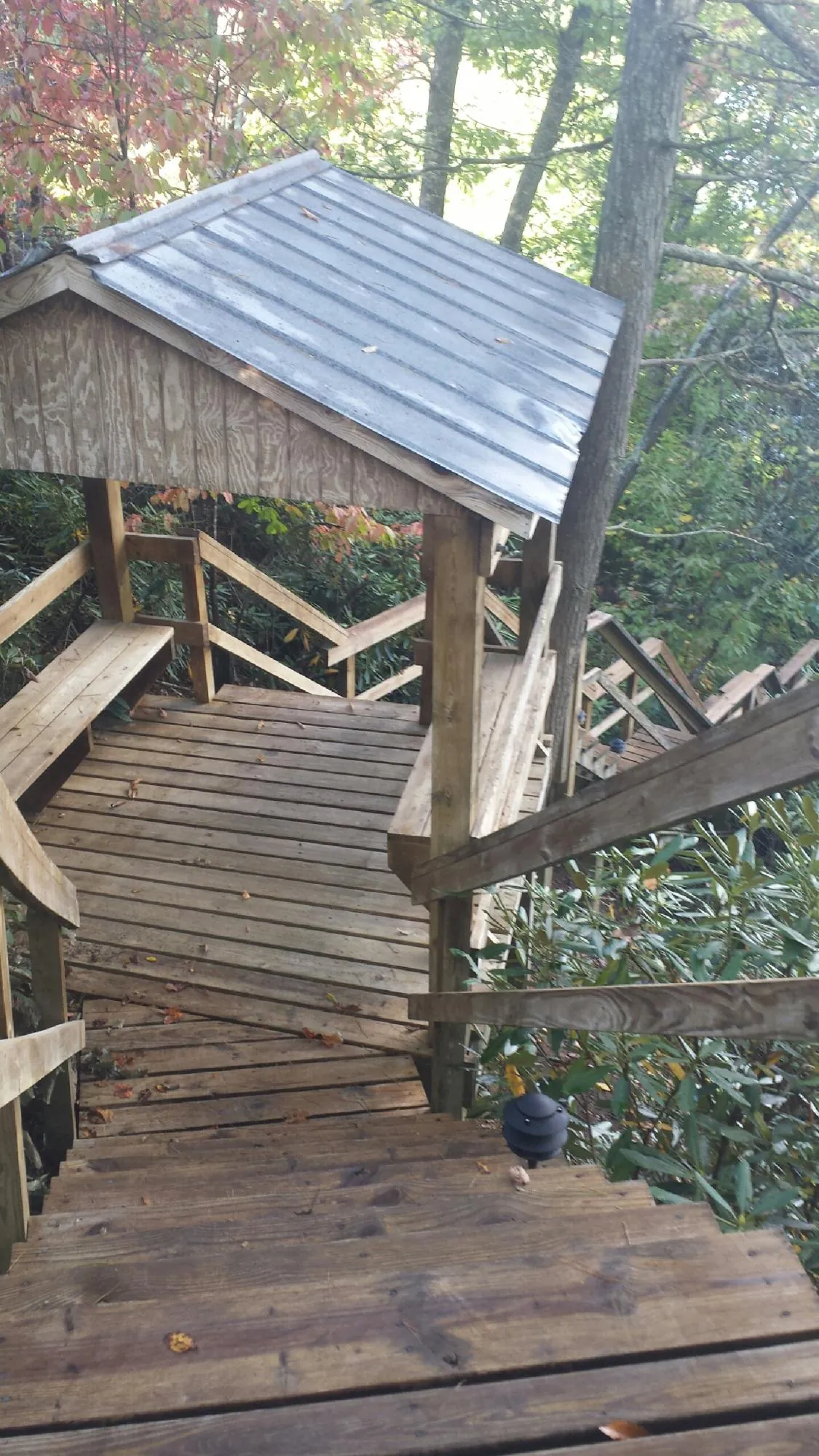Metal roofed shelter over wooden steps on a wooded walkway — Skylight Repair & Installation work by our crew in Haines