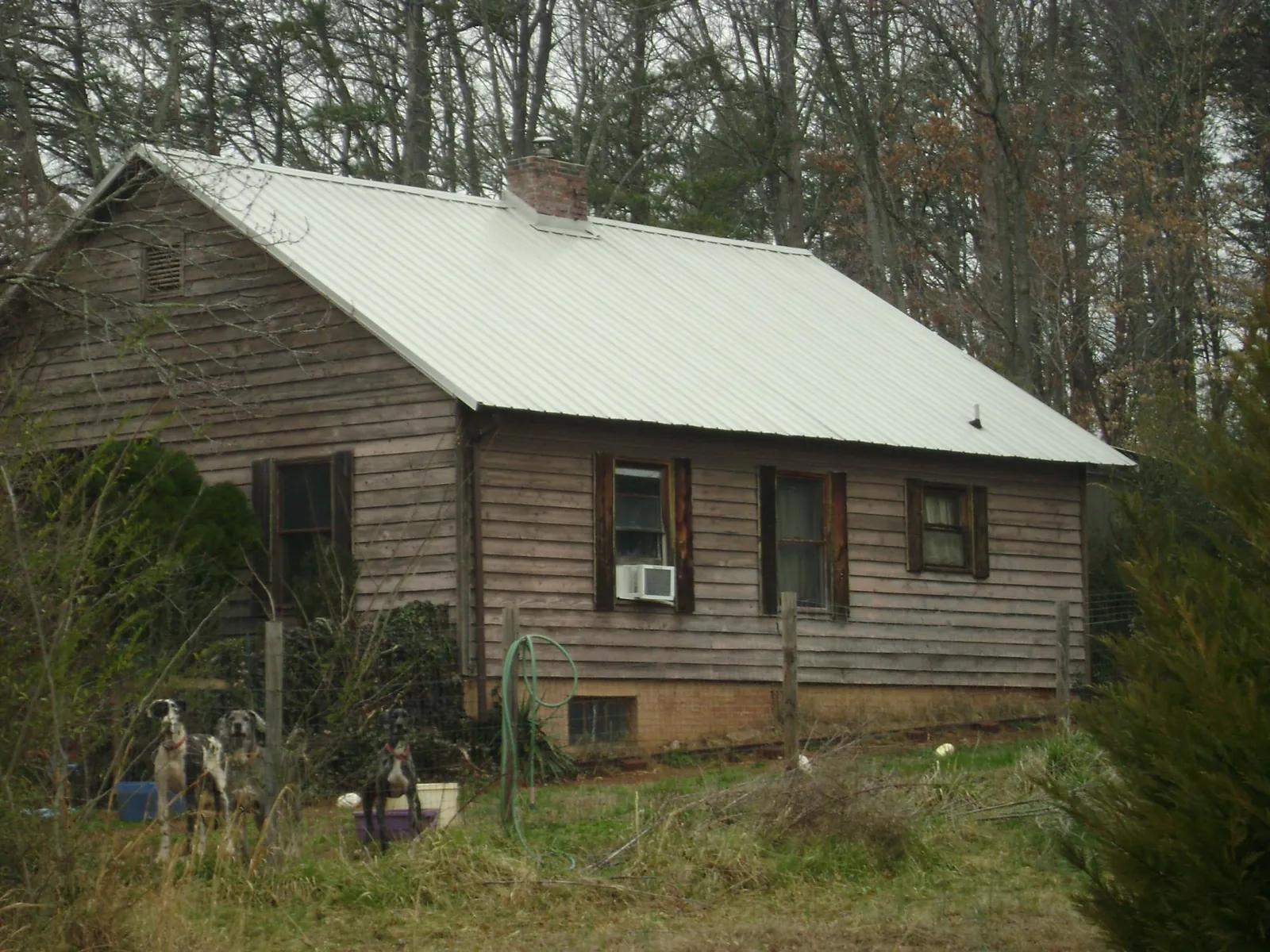 White metal roof on an old wood sided farmhouse, from a Asphalt Shingle Roof Repair job in Haines